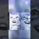 Music | cat #music #pop #animal #funny #youtubeshorts #vrialshort #short #cat #vrialshort #wildlife