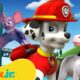 PAW Patrol Animal Rescue Missions in Adventure Bay! #3 🐻‍❄️🦉 | 120 Minutes | Nick Jr.