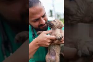 POR FINN tiene un HOGAR este perrito  #animals