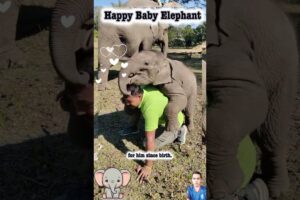 Playing with Baby Elephant #shorts #babyelephant #animals #play #funny