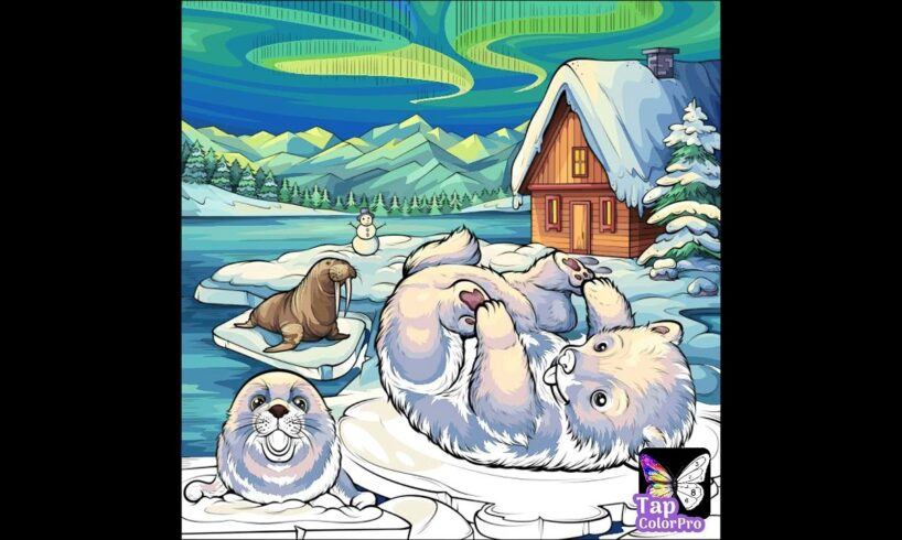 Polar Animals Playing under Aurora Borealis near Juneau, Alaska @GiselleTon1 #animals #play #under