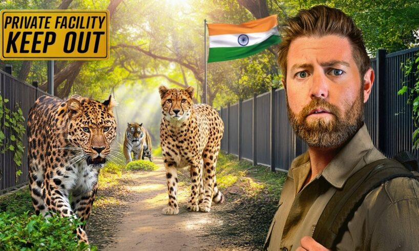Private Tour of Billionaire's Secret Animal Sanctuary in India