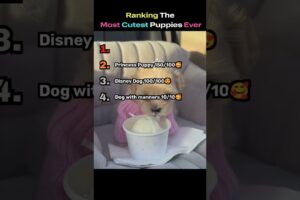RANKING CUTEST PUPPIES EVER😍 #puppy #ranking #viral #youtubeshorts