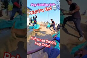 Raheman Double Dog Catch #dogwithpublicsafety #dog #pets #ytviral #shorts #rescue #shortsfeed