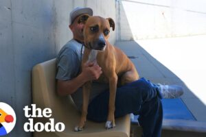 Reactive Rescue Dog Becomes a Mentor for Men in Prison | The Dodo