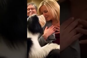 Rescue Dog's Emotional First Meeting With Her New Mom! #adoptdontshop #adoptme #dog