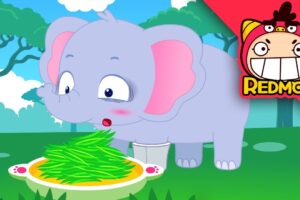 Save the Elephant | Animal Rescue Team | 4K cartoon | REDMON