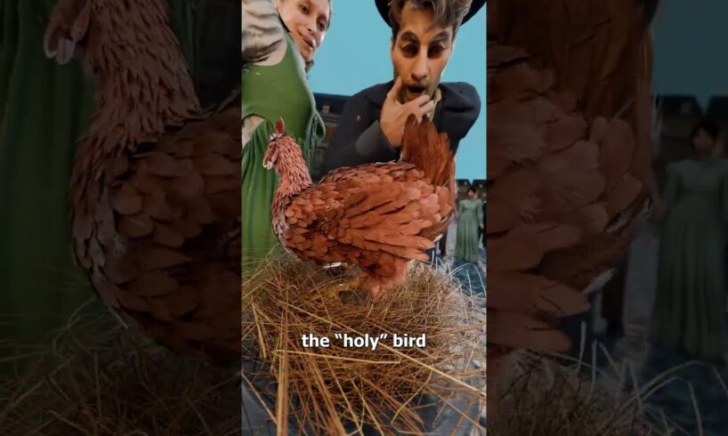 She Claimed Her Chicken Laid Holy Messages 😳