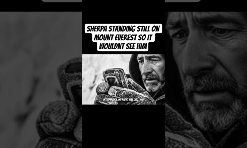 Sherpa on Mount Everest: I stood Still So It Wouldnt See Me