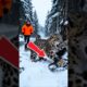 Snow leopard Saves his Baby Cub with the help of Fisherman #rescue #animalrescue #wildlife #animals