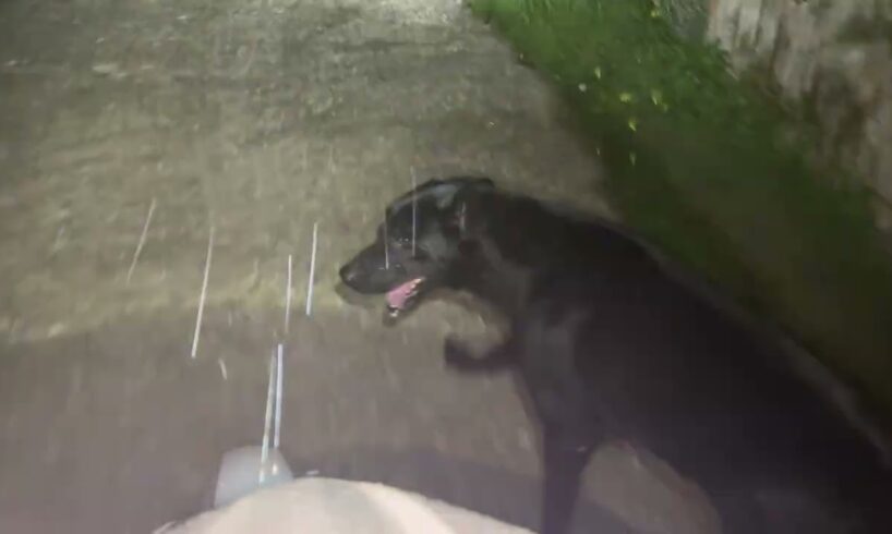 So Much Rain Last Night - Takis Shelter