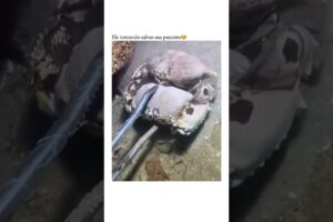 Somes people are awesome