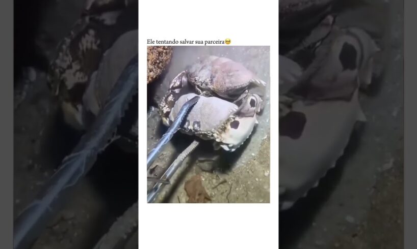 Somes people are awesome