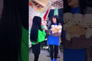 Stop Scrolling 🥰 World's Most Cutest Puppies Are Here ♥️