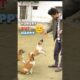 Street Puppy Friends ❤️ | Feeding & Playing with Cute Puppies 🐶