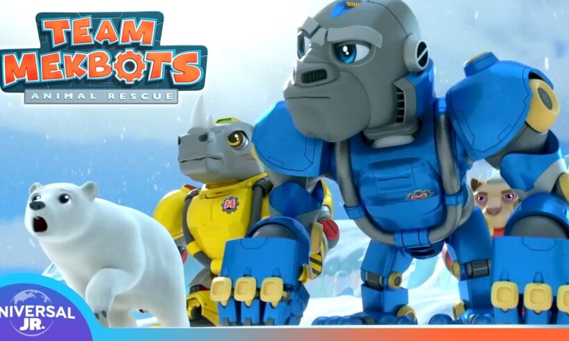 Team Mekbots Brave the Blizzards! 🌨️ | TEAM MEKBOTS ANIMAL RESCUE