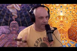 The CRAZIEST DMT Experiences Ever Shared on Joe Rogan Podcast