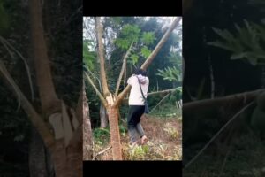 The Funniest Fails of the Week 😭😂