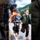 The Heroic Dog That Saved An Elderly Man #animalrescue #youtubeshorts #shorts #viral