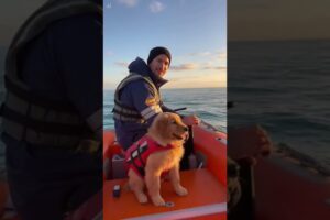 The Man Rescued the Puppy from the Ice! #rescue #goldenretriever #dog