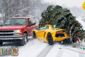 The Ultimate Christmas Fail Compilation | Funny Winter Fails of The Week | Try Not To Laugh #2