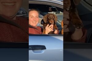 The greatest surprise at a red light ❤️