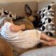 This Dog Thinks the Baby Is His Job