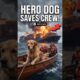 This Golden Retriever Dog Saved an Entire Ship Crew #goldenretreivers #dogrescue