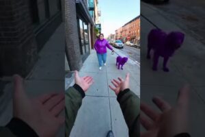 This Man Saved a Dog From Its Cruel Owner! 😱 #shorts