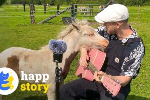 This Man Sings To All The Animals He Meets! 🎶🐾| HAPP