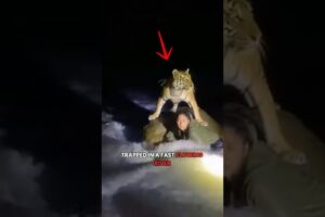 This cub was begging for help ❤️ #shorts