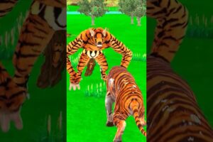 Tiger vs Tiger Wolf Fight cartoon animal Fights #shorts #tiger #cartoonanimals #wolf