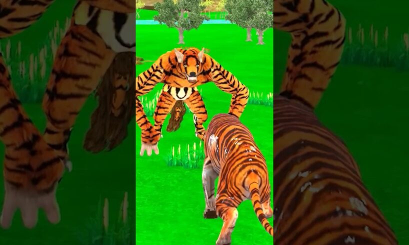 Tiger vs Tiger Wolf Fight cartoon animal Fights #shorts #tiger #cartoonanimals #wolf