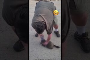 Viral Animal Rescues 🐾❤️ | Heroes Saving Animals in Incredible Moments