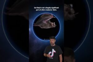 What If We Killed All Mosquitoes? #Shorts