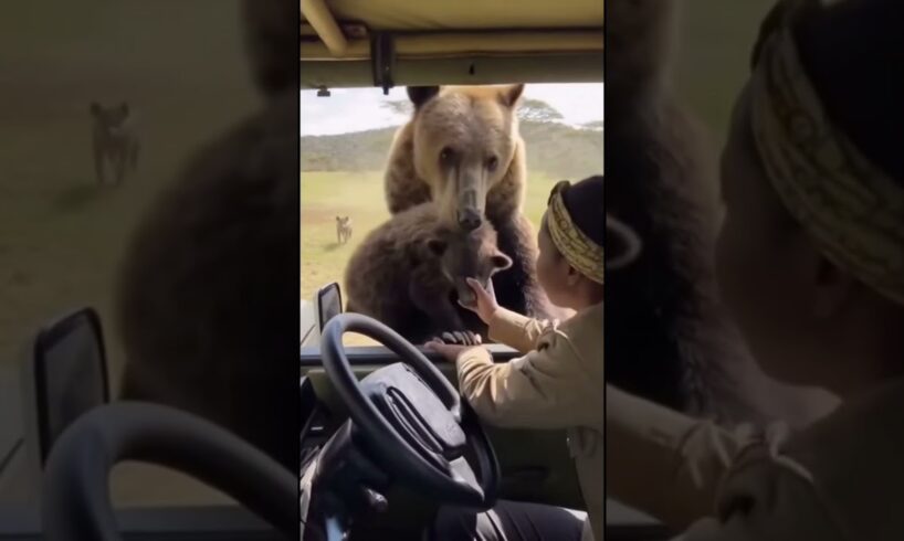 When Animals Trust Humans to Save Their Babies 💔