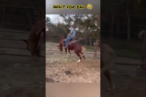 😂 When You Can’t Stop Laughing ! Ep 150 | 100% Cooked | Best Fails of the Week #shorts #fails