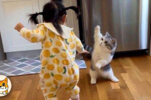 When Your Kids Are Raised by a Cat 😂