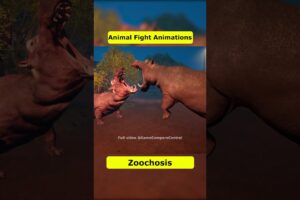 Zoochosis Animal Fight Animations