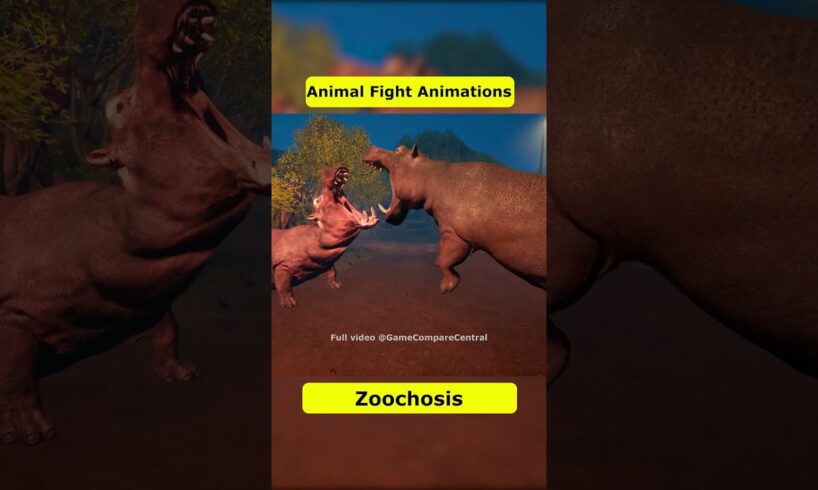 Zoochosis Animal Fight Animations