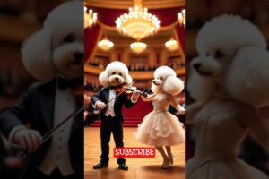 can you believe what the can do🐩| cute dog playing instrument and dancing #happypuppy #viraldog
