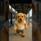 cutest puppy struggle 😭✨ #youtubeshorts #trending #shortsvideo#dog #cutebaby#ai #viral