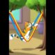 the monkey and the cats are playing #shorts #pets #animals #youtubeshorts