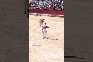 this is bull 🎥: aarongrande10 (IG) #shorts