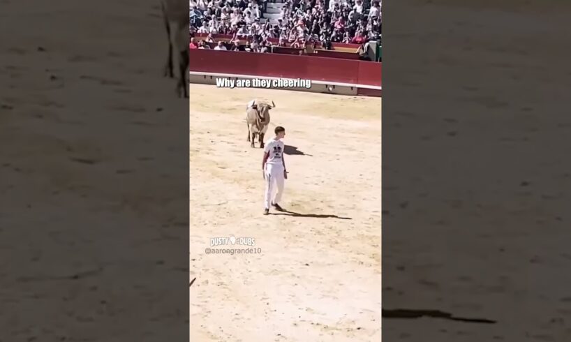 this is bull 🎥: aarongrande10 (IG) #shorts