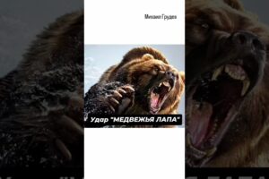 Удар "МЕДВЕЖЬЯ ЛАПА" #извор #михаилгрудев