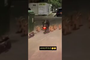 अल्लाह की देन है #funny #24hcomedy #thetharpuns #comedy