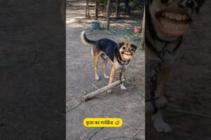 गर्लफ्रेंड का गिफ्ट 🎁🤣|#shorts #comedyvideos #thetharpuns #funnycomedy #funnyvideos