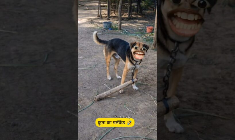 गर्लफ्रेंड का गिफ्ट 🎁🤣|#shorts #comedyvideos #thetharpuns #funnycomedy #funnyvideos