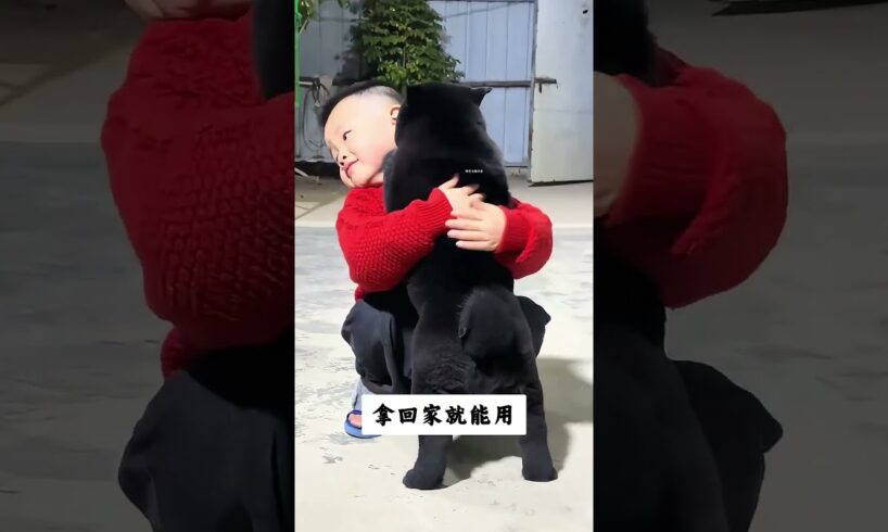 The love for these cute puppies grows day by day #dog #pet #cutedog #puppy #puppylove #cuteanimal